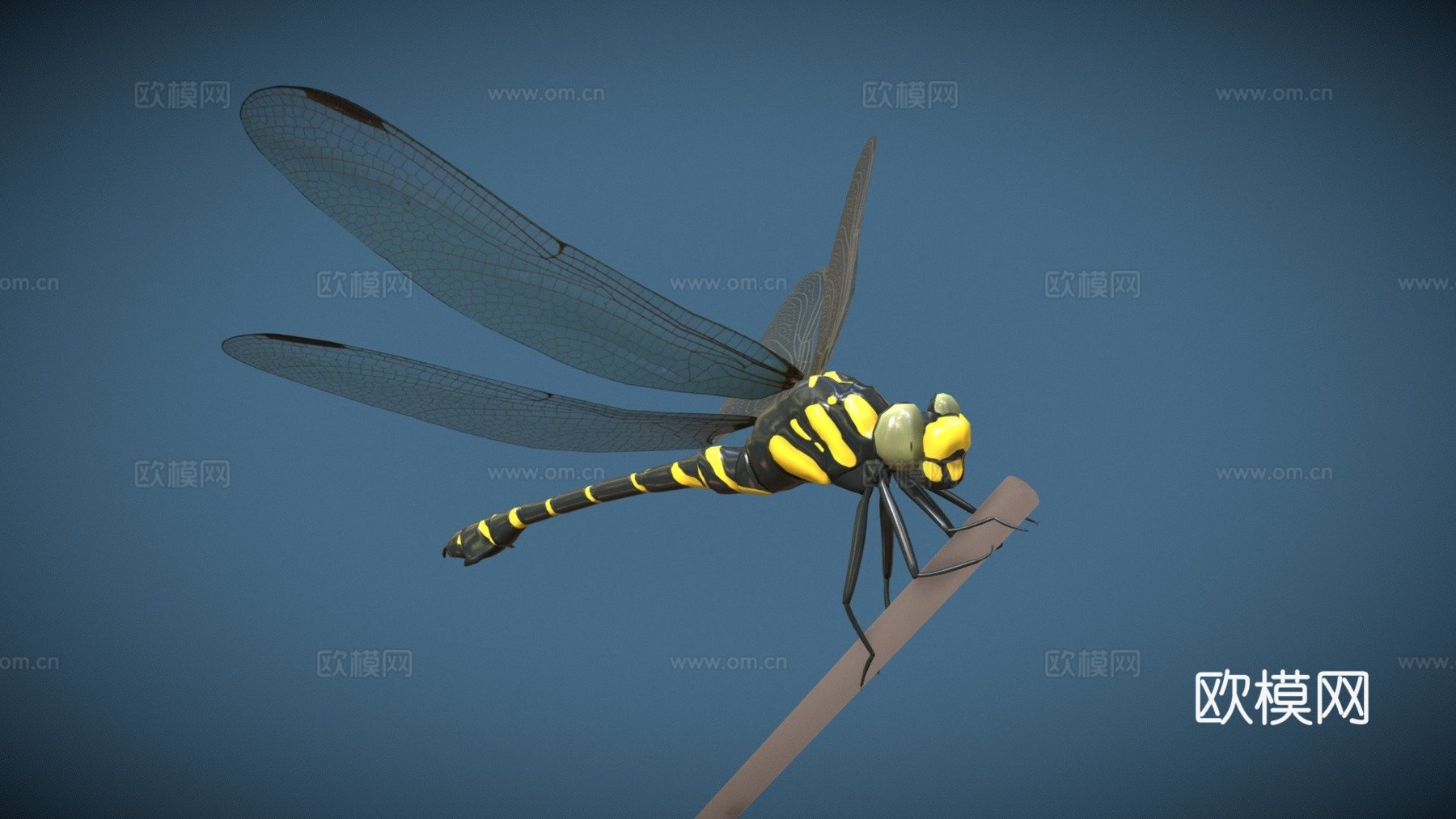 动画蜻蜓3d模型
