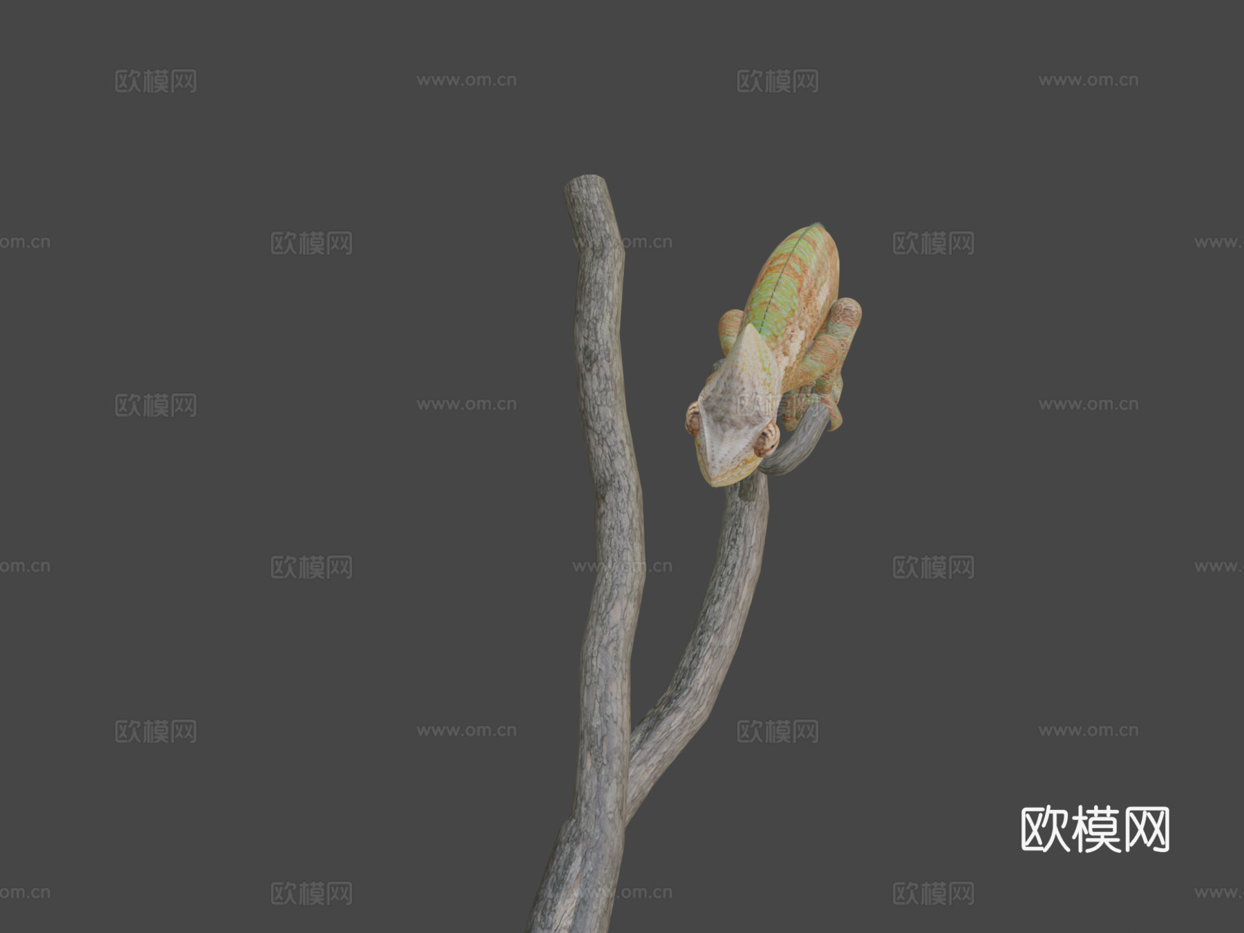 变色龙3d模型