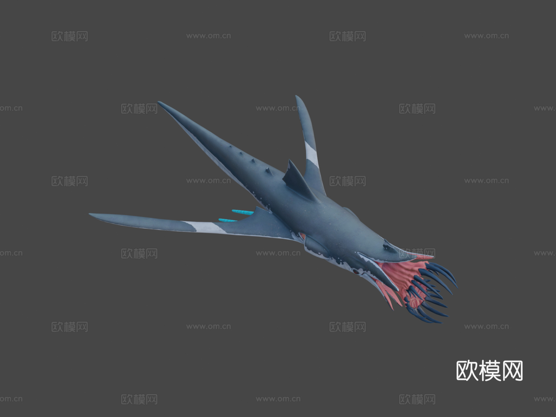 鱿鱼鲨3d模型