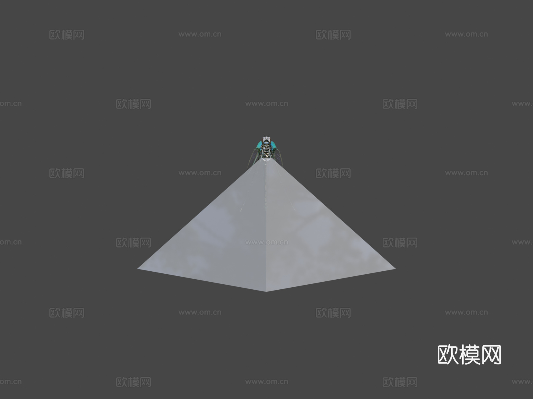 蜻蜓3d模型