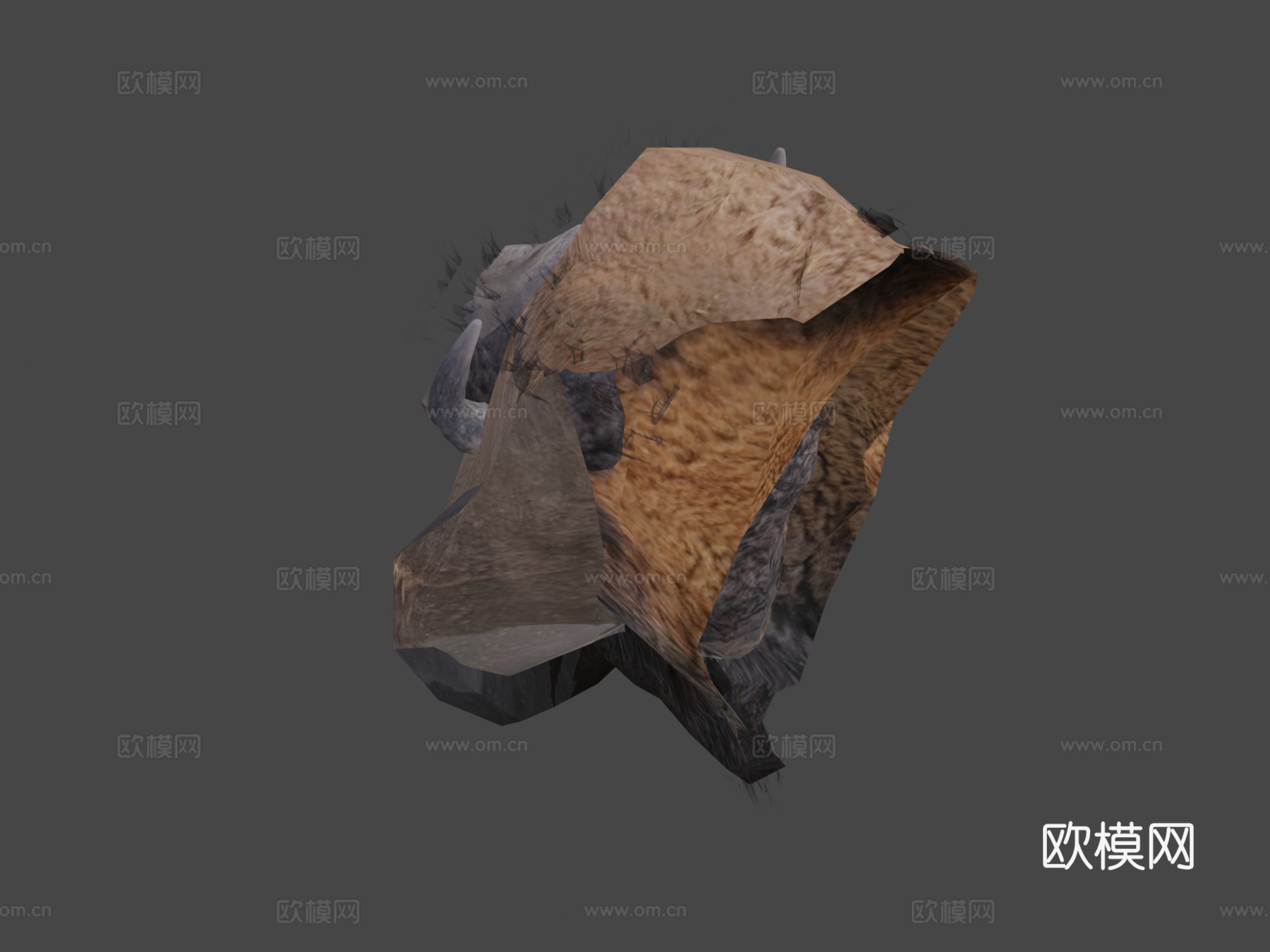 动物王国-美洲野牛(雄性)3d模型