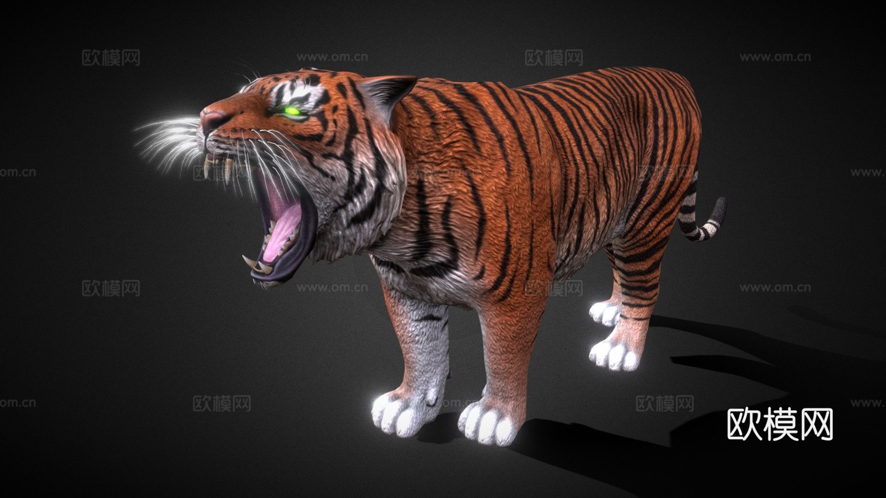 里海虎3d模型