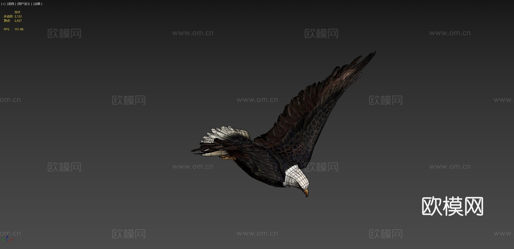 动画鹰3d模型