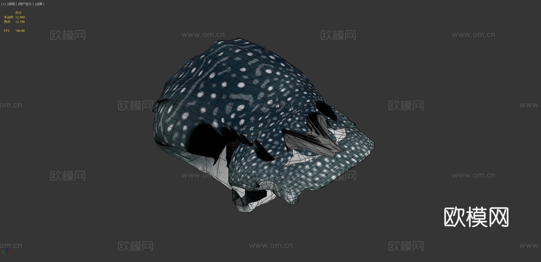 鲸鲨♀3d模型