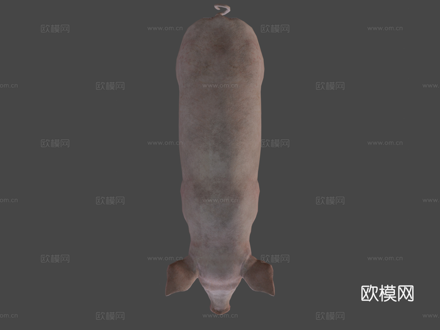 猪动画3d模型