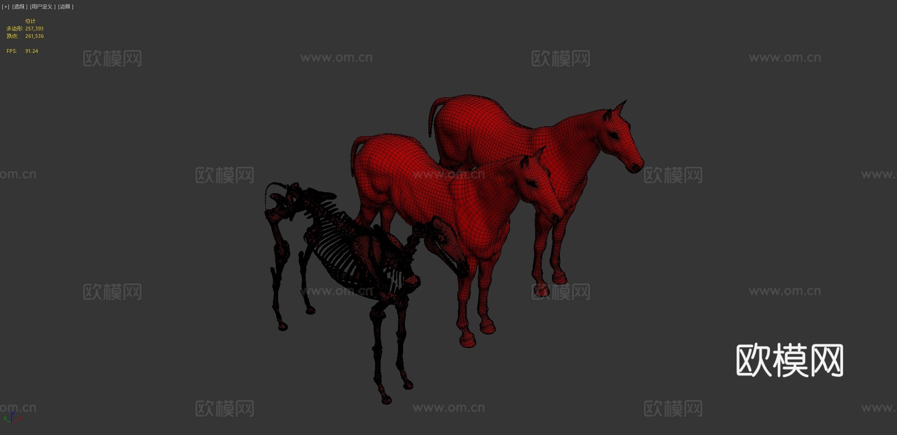 马匹解剖生态皮肤3d模型