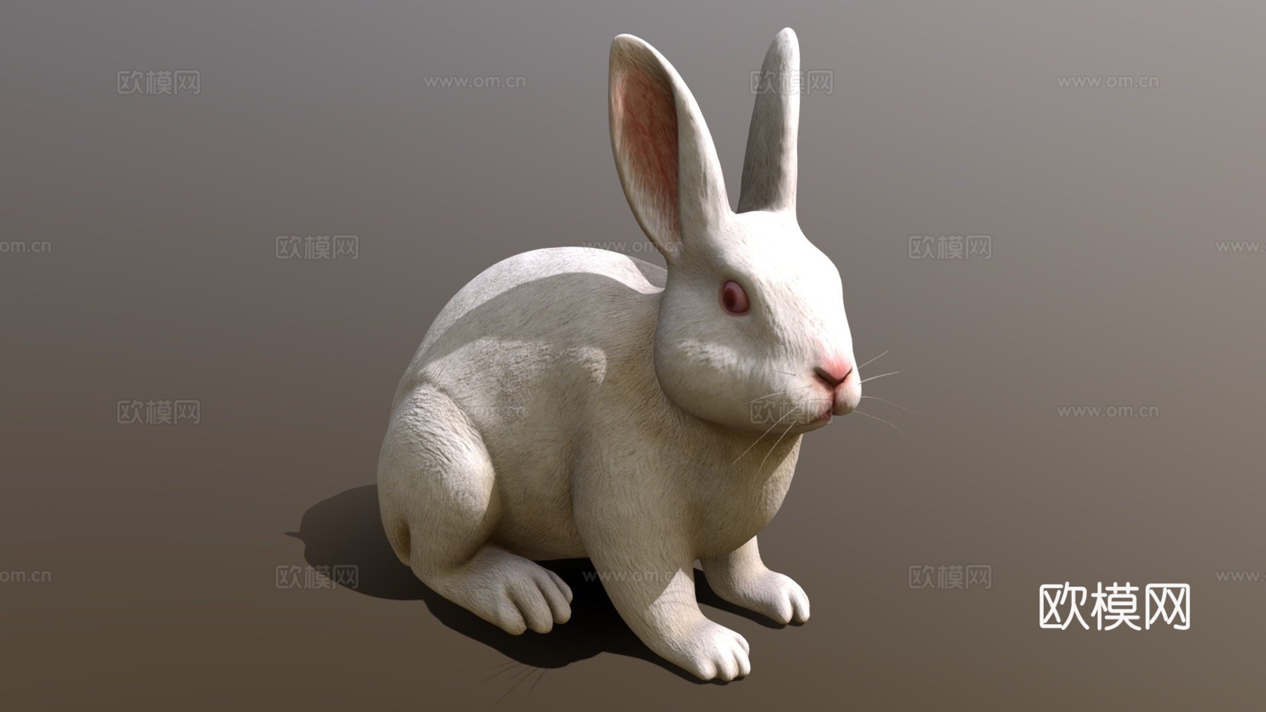 兔子3d模型