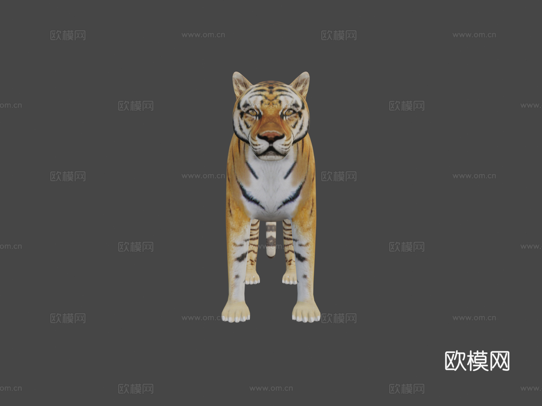 西伯利亚虎3d模型
