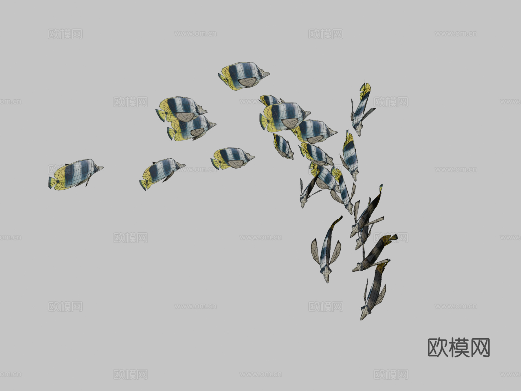 群游双鞍鱼3d模型