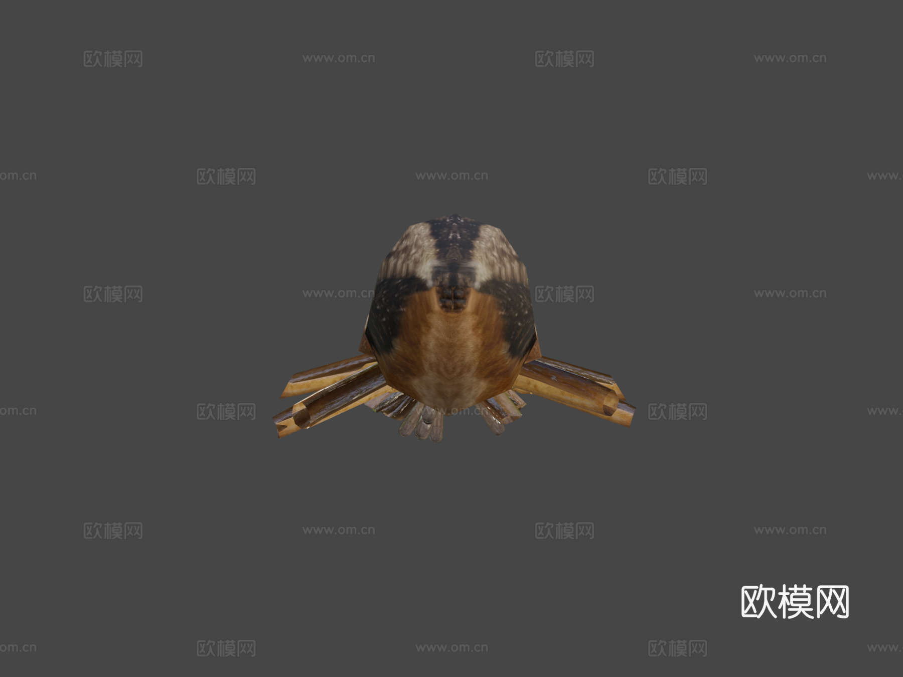 狼蛛(绑定)-3d模型