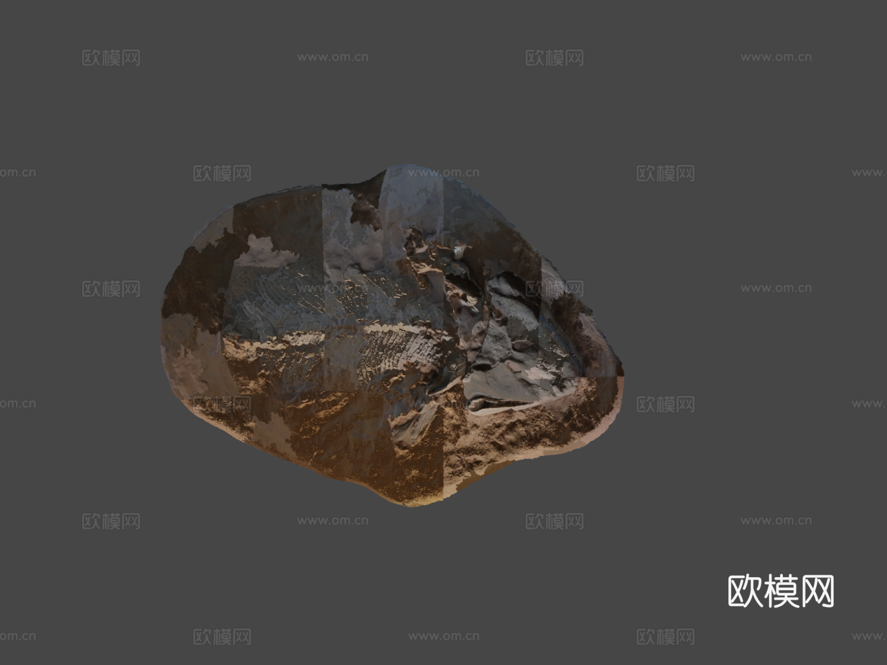 提克塔利克玫瑰3d模型