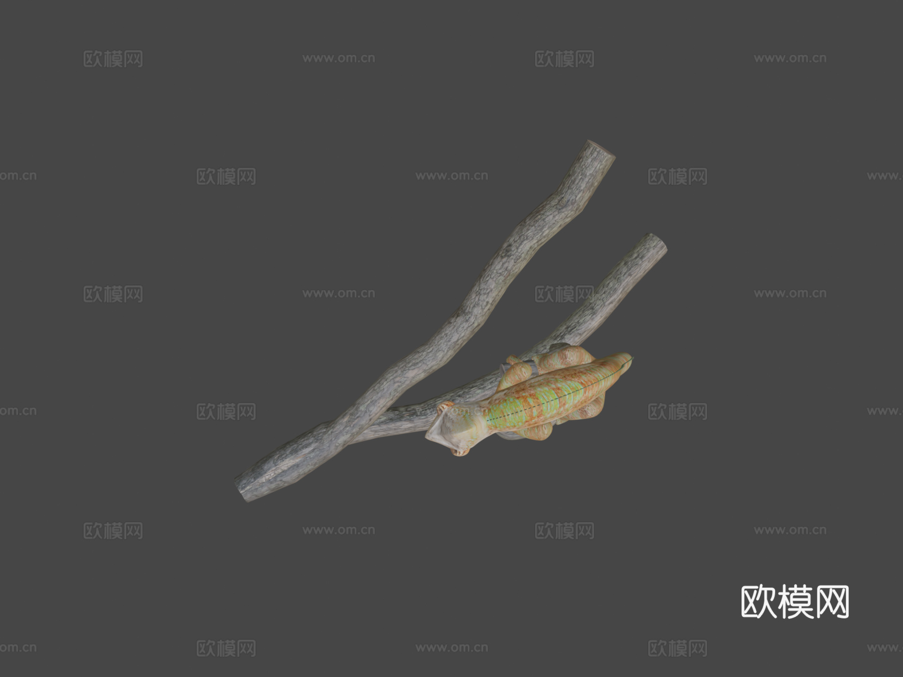 变色龙3d模型
