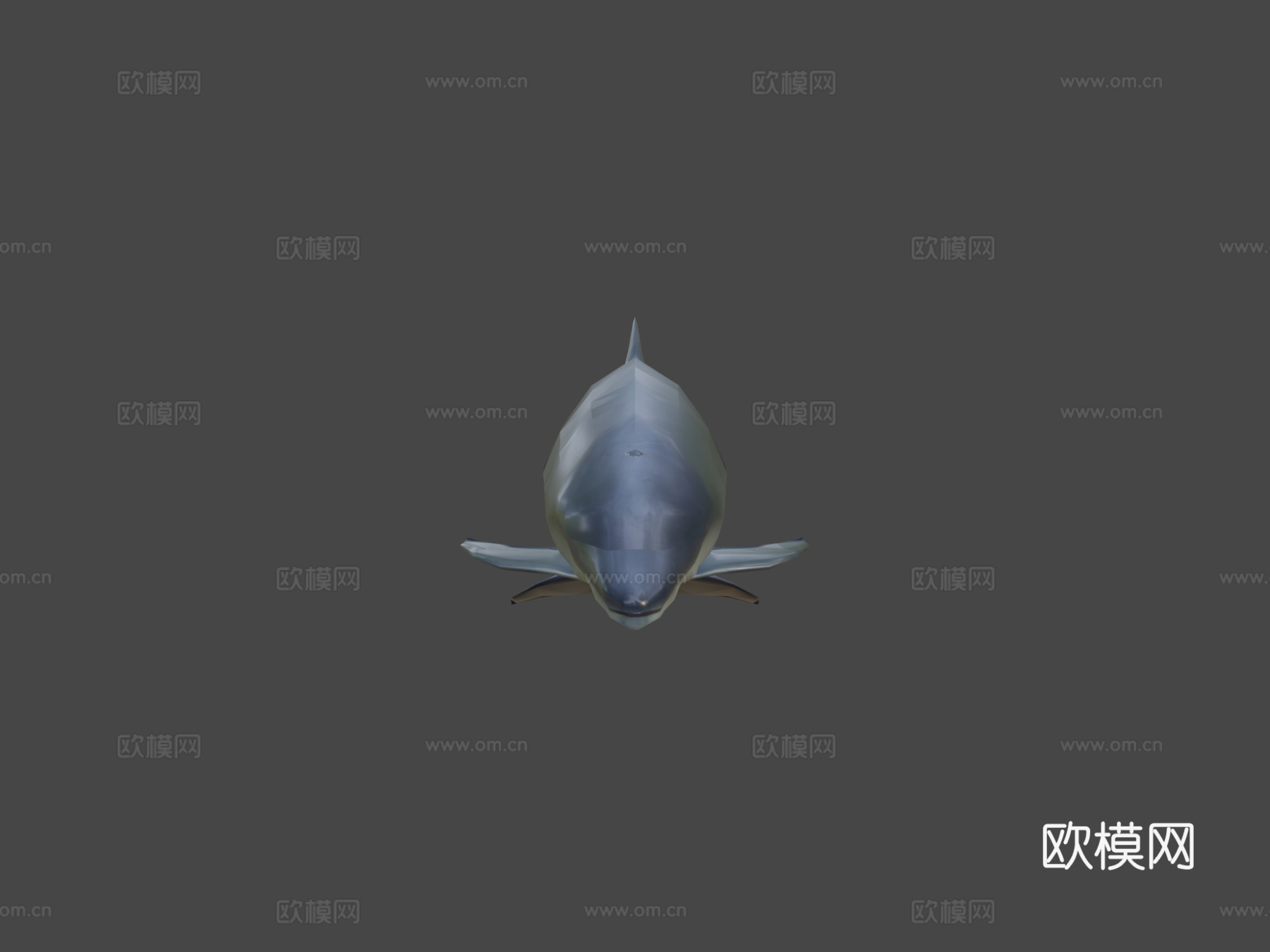 游戏级海豚3d模型