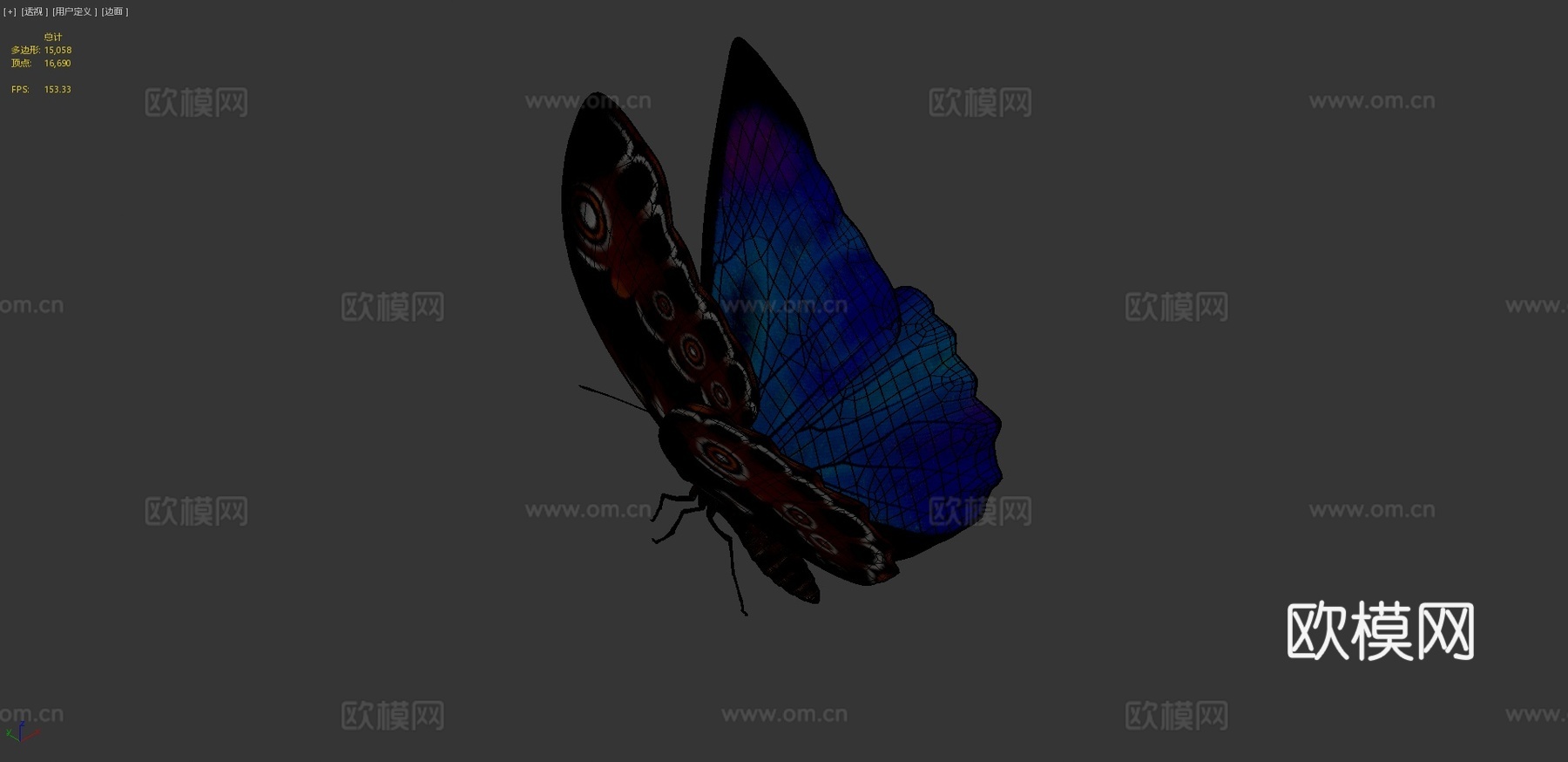 动画蓝闪蝶3d模型