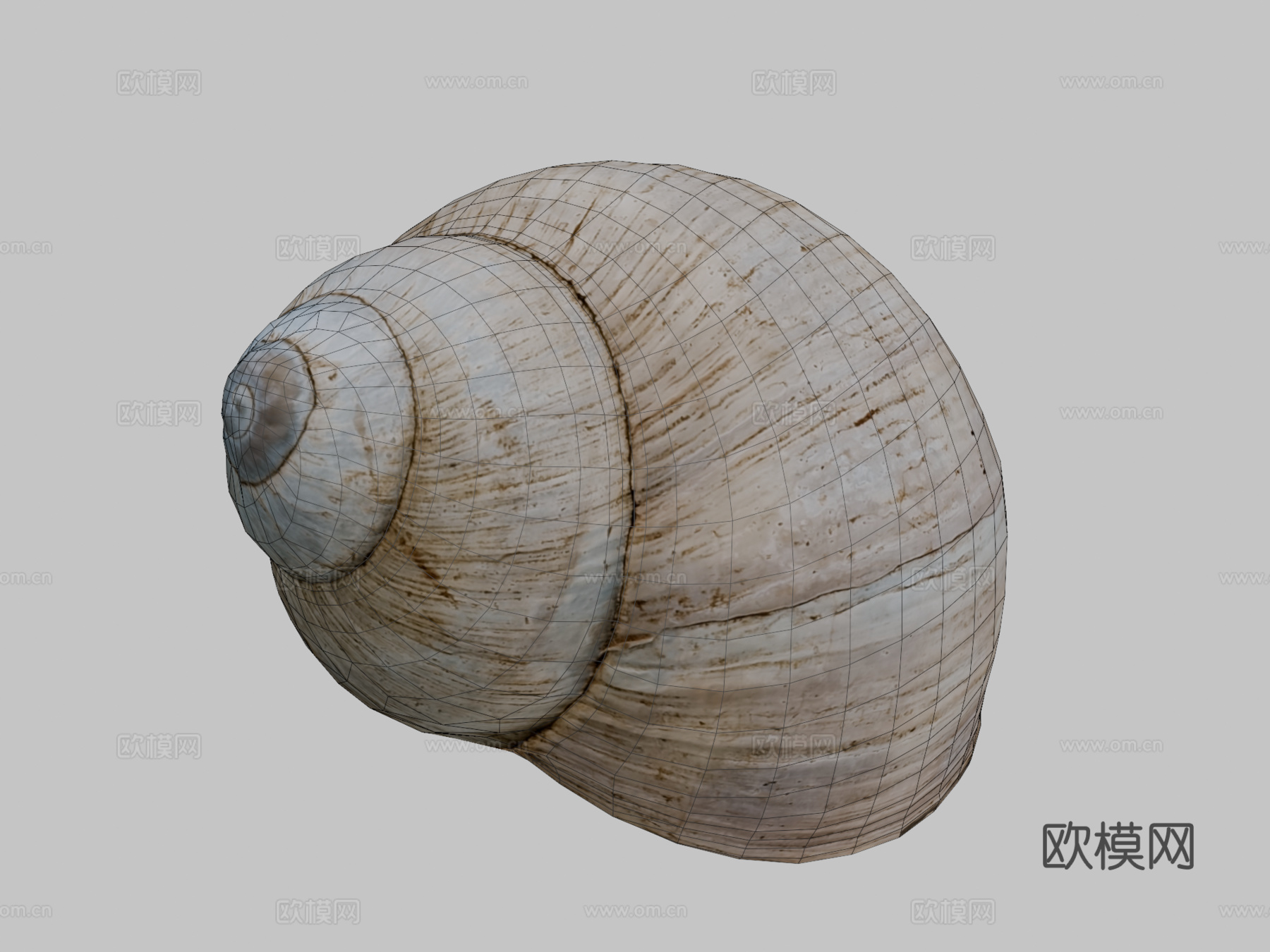 蜗牛壳3d模型