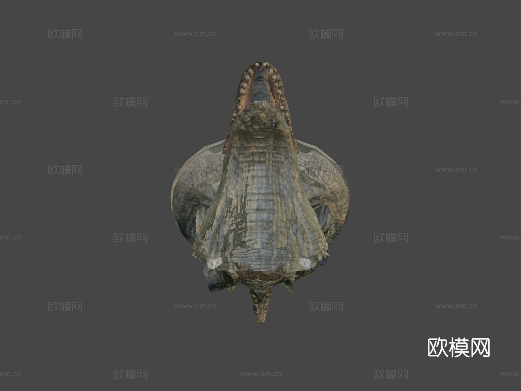 直立行走的鳄鱼3d模型