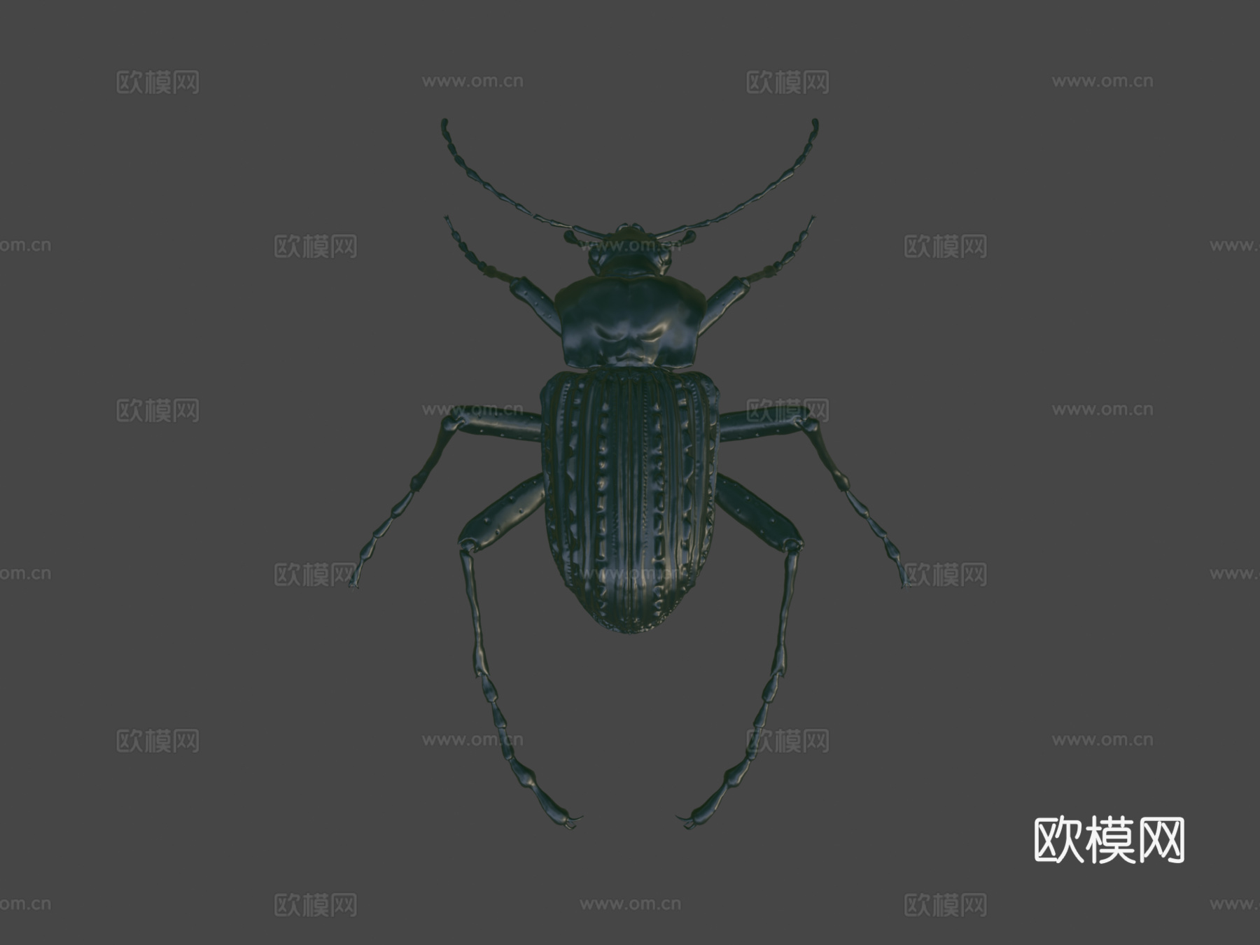 Futrinka(作者Zsofi Kezes)3d模型