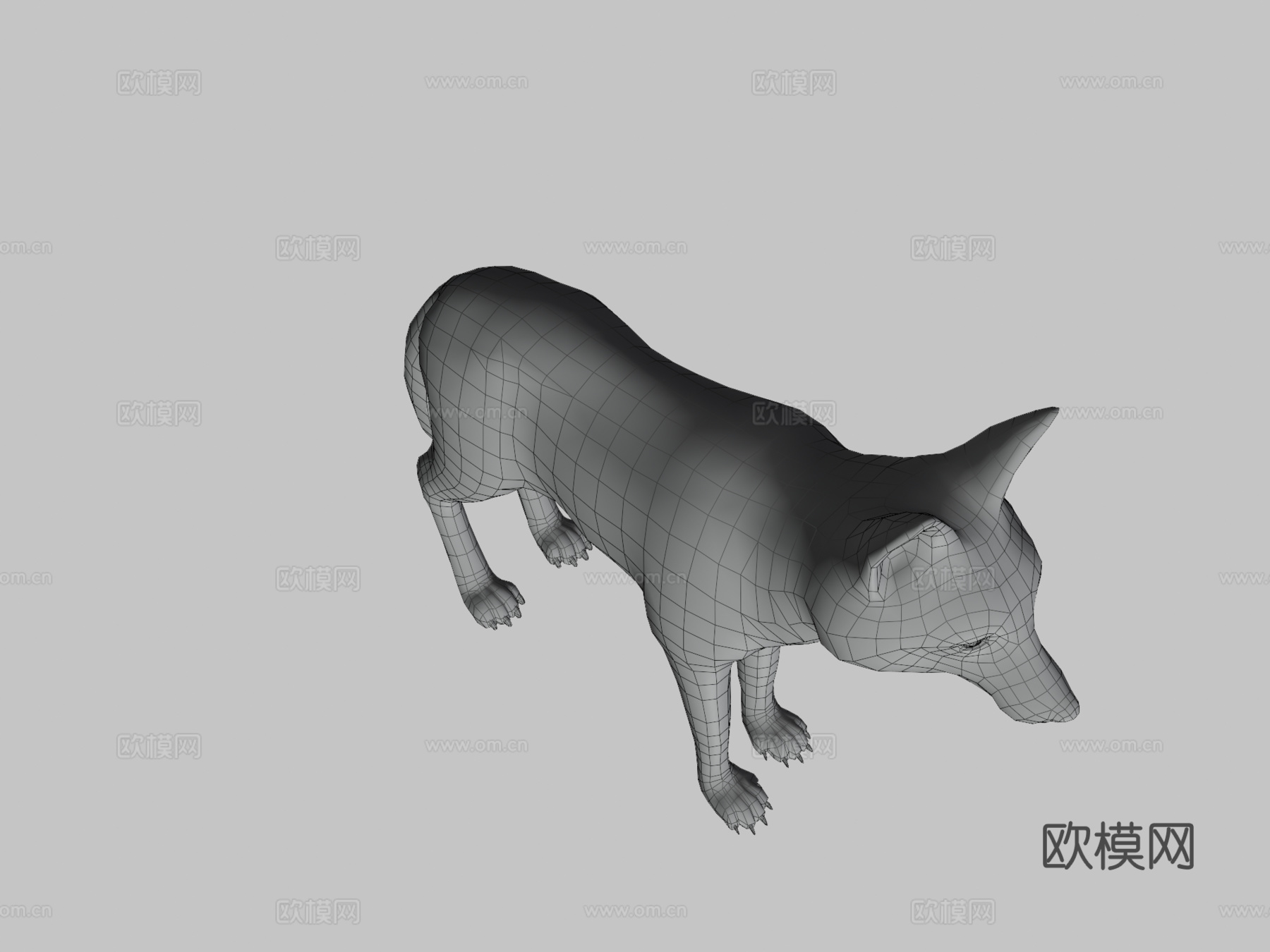 雄性狐狸3d模型