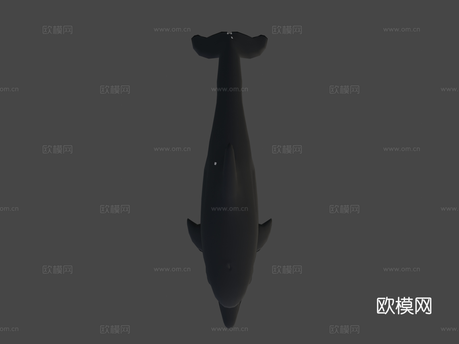海豚3d模型