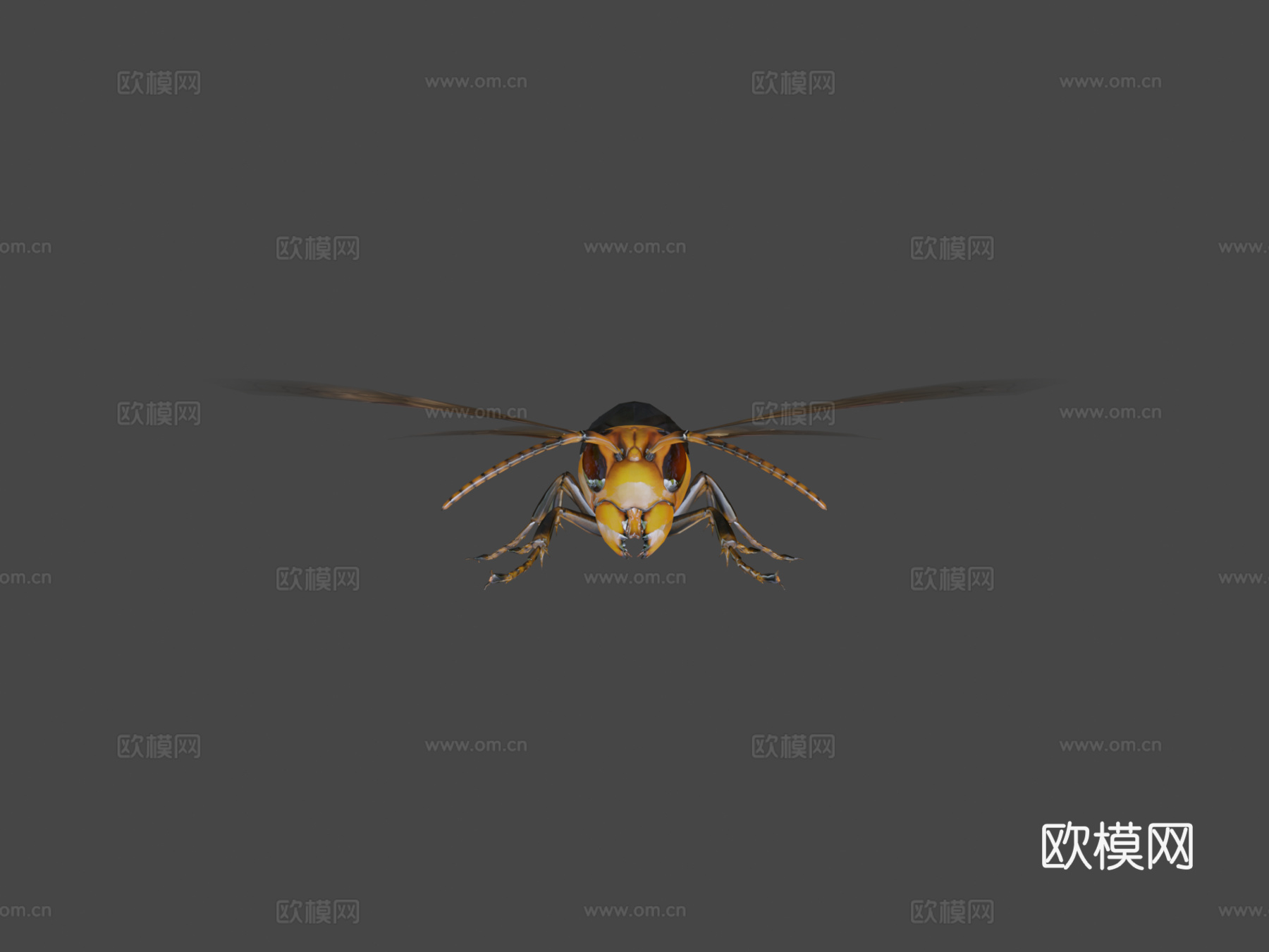 悬浮黄蜂3d模型
