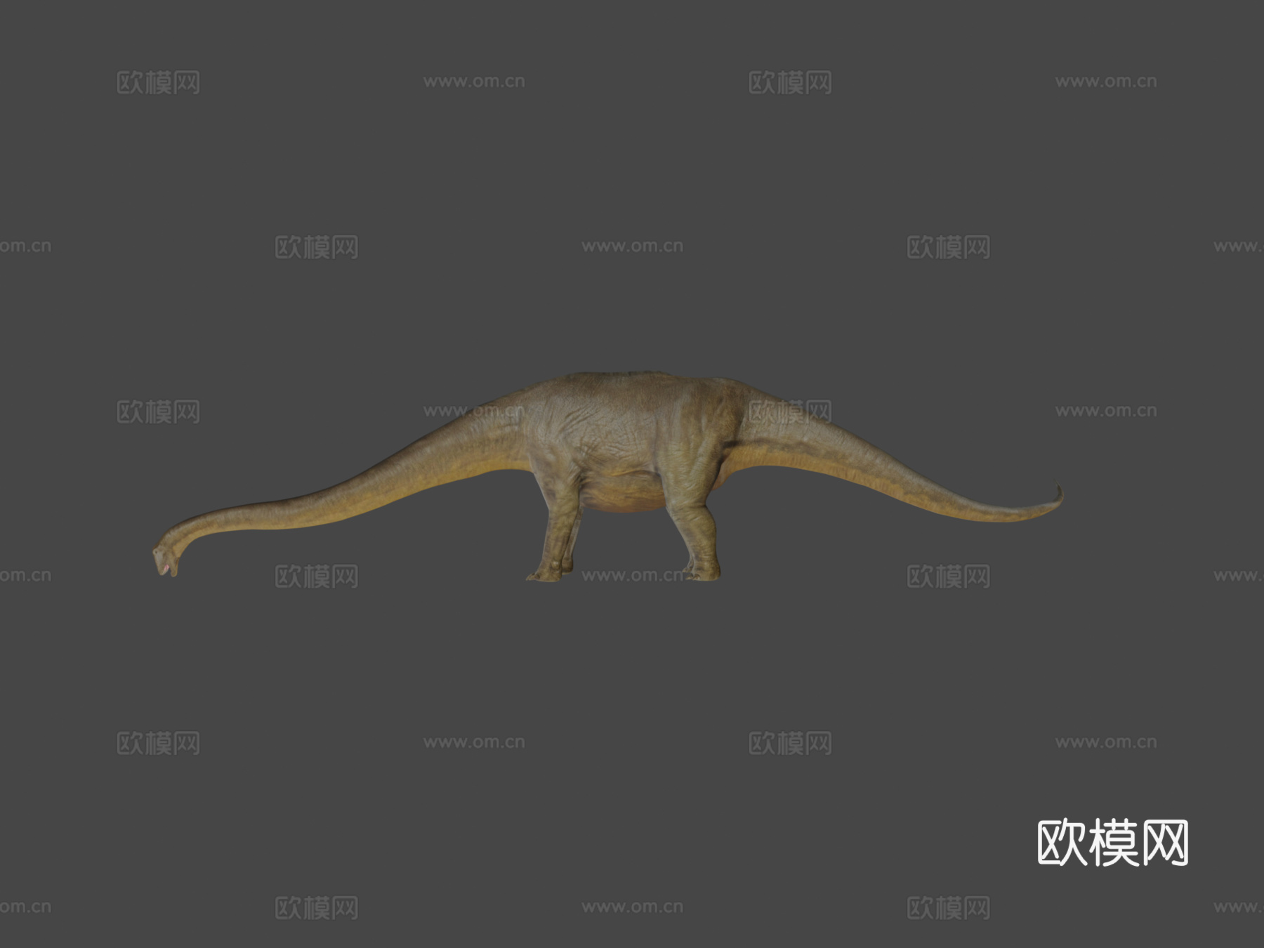 马门溪龙3d模型