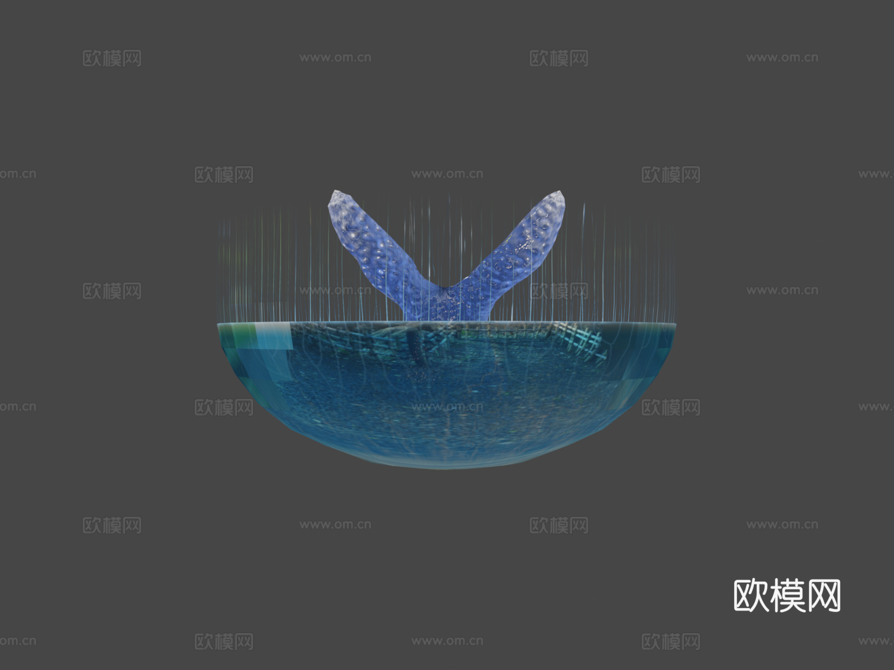 月亮水母动画3d模型