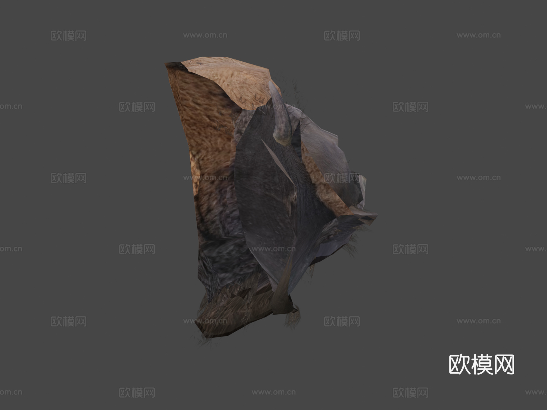动物王国-美洲野牛(雄性)3d模型