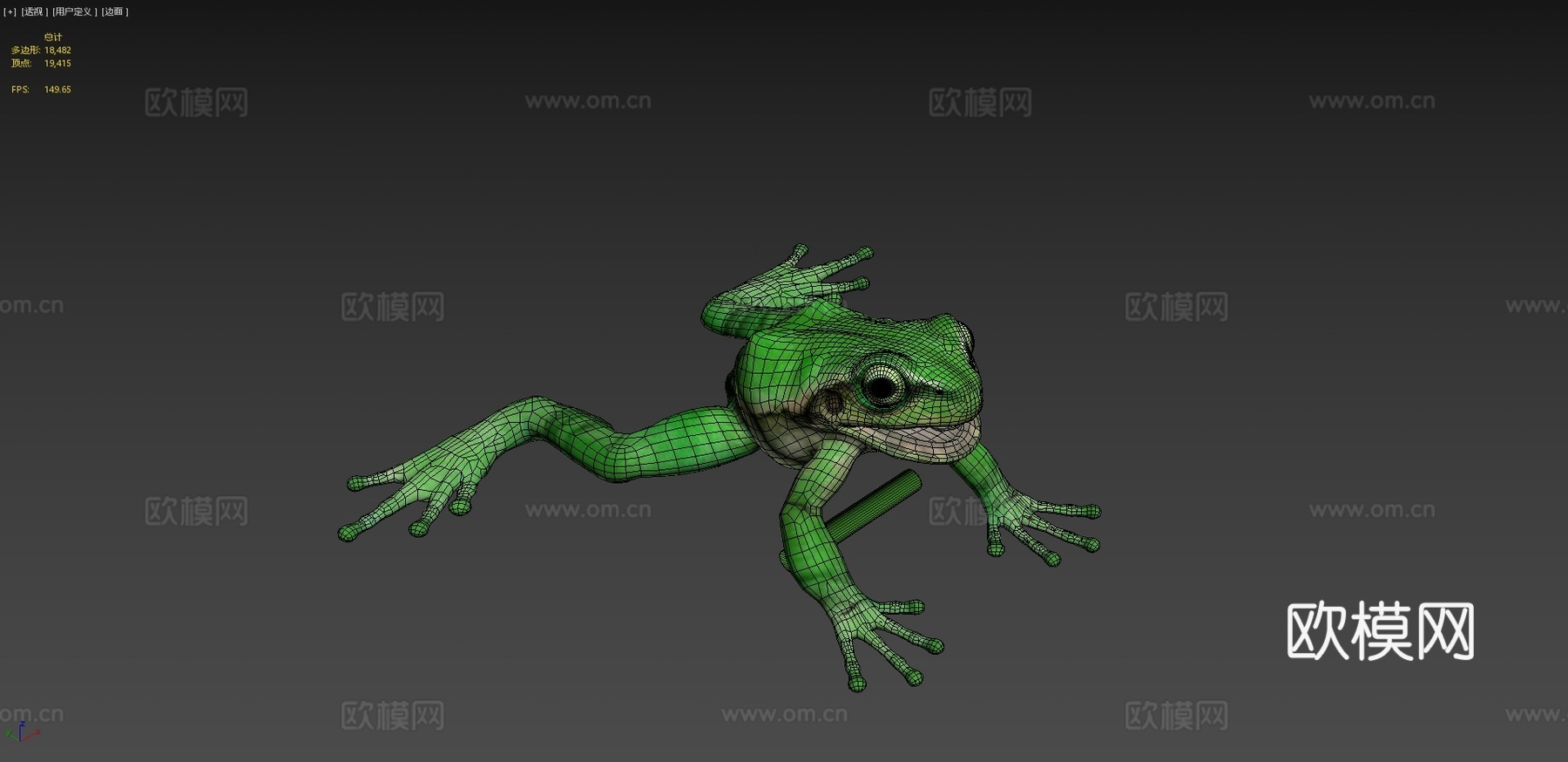 欧洲树蛙3d模型