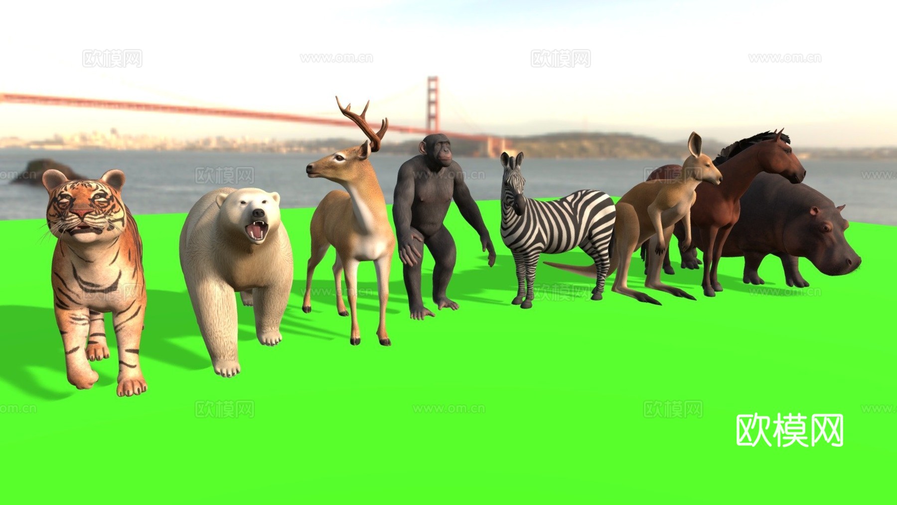 中型动物包3d模型