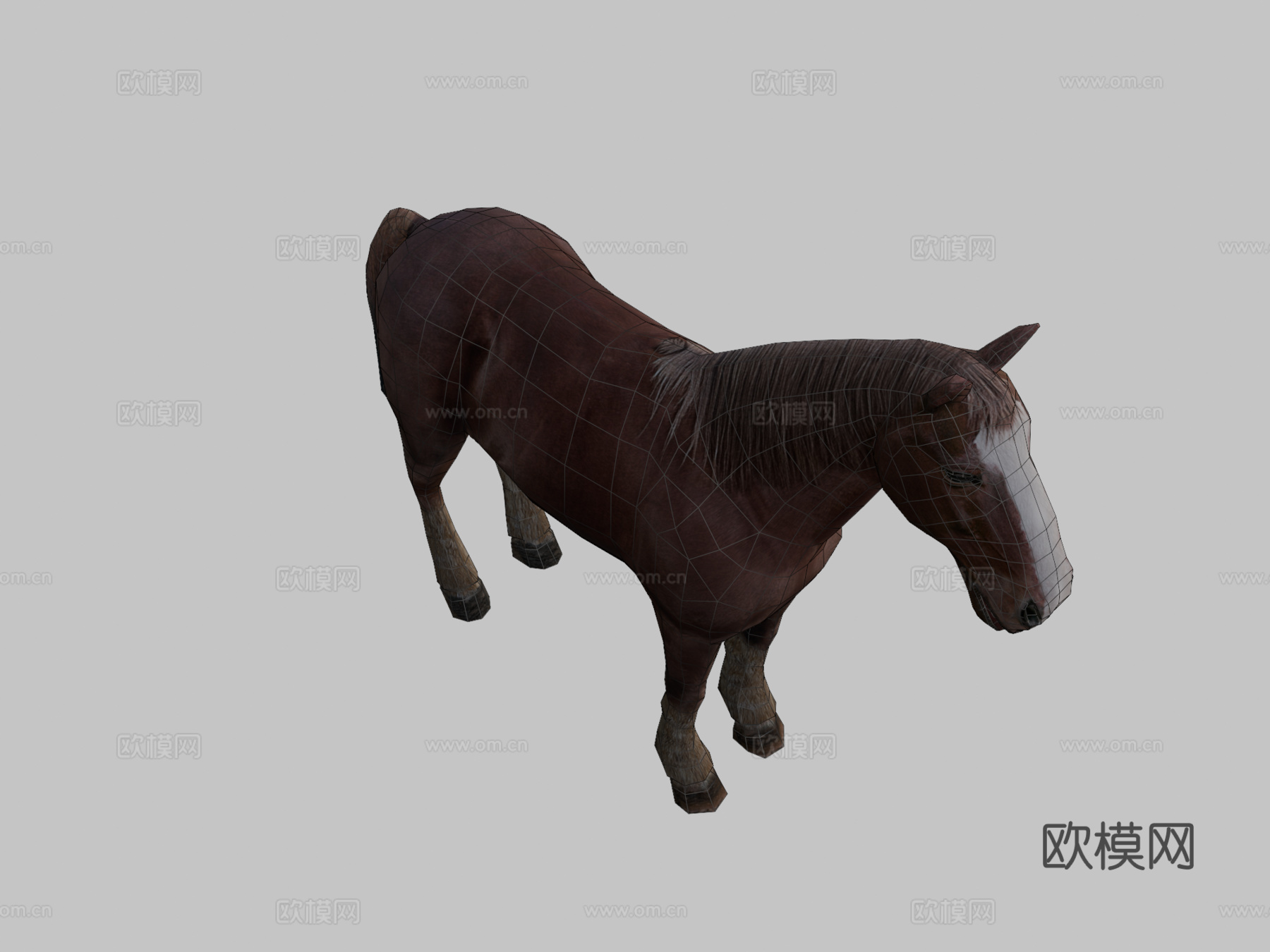 马绑定3d模型