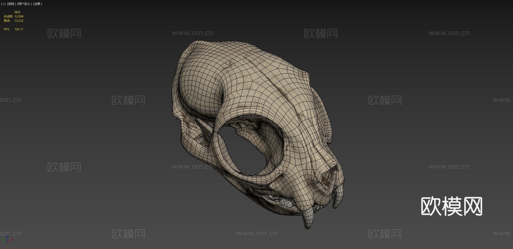 猫头骨3d模型