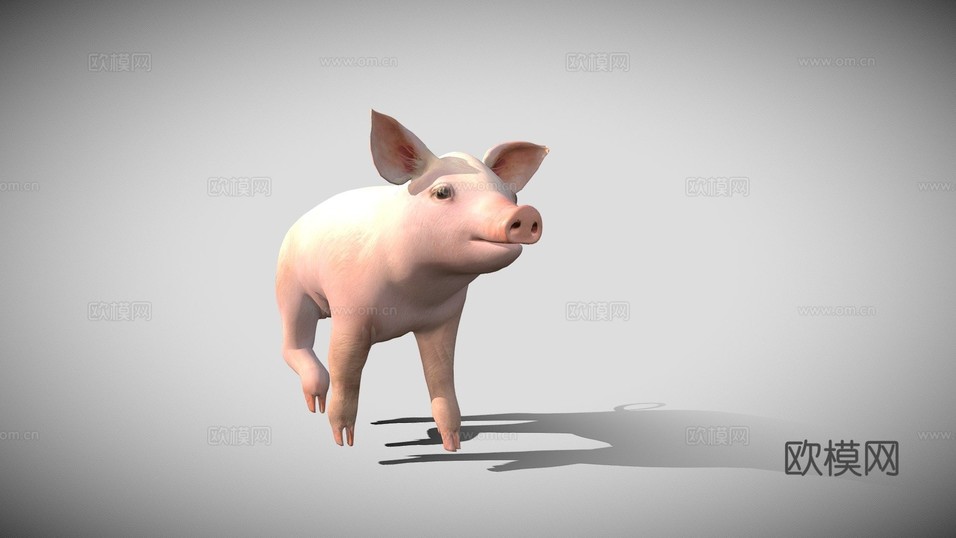 小猪3d模型下载(渲染图1)