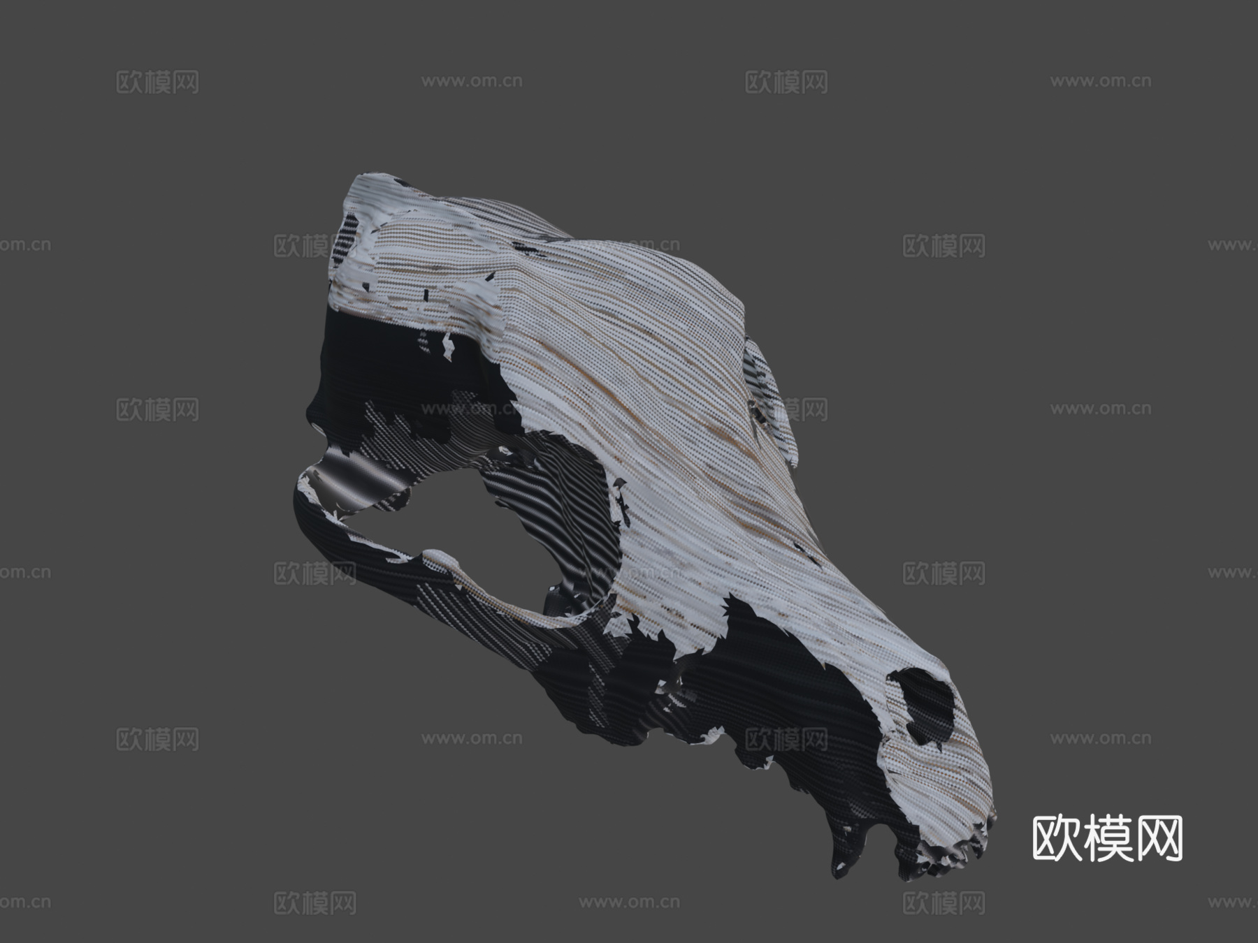 狗头骨测试3d模型