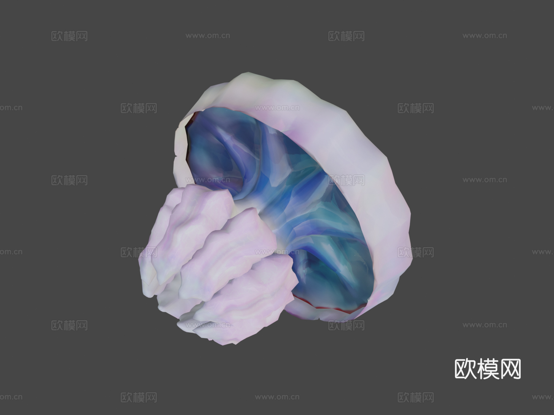 水母_0033d模型