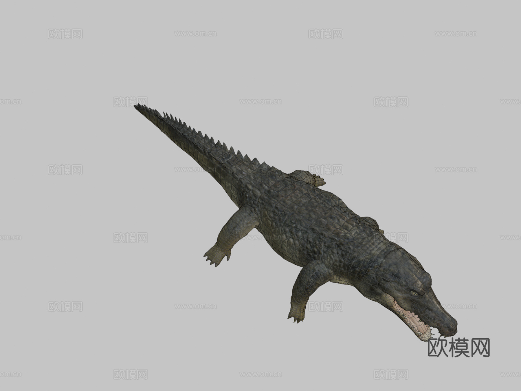 鳄鱼动画3d模型