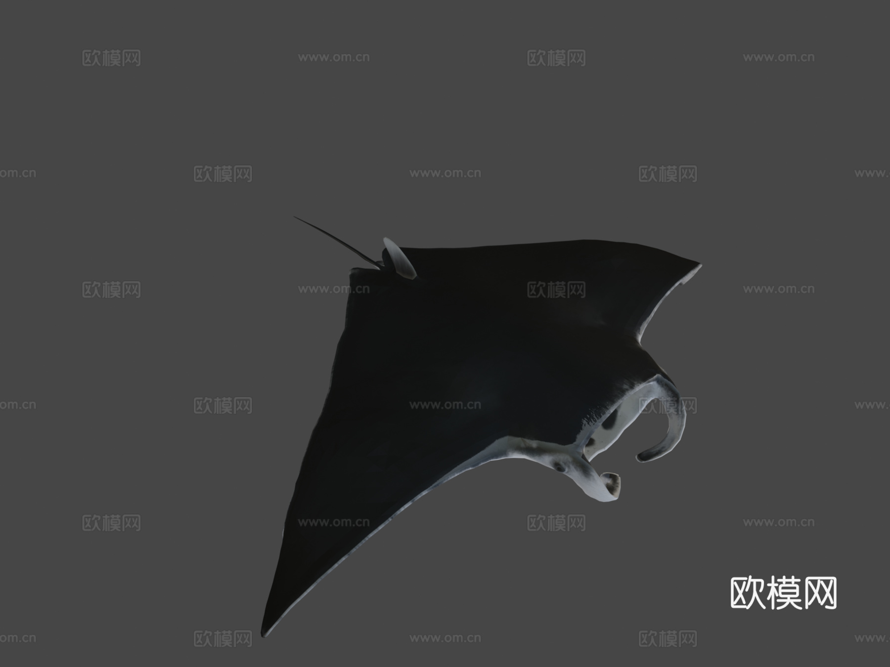 魔鬼鱼3d模型
