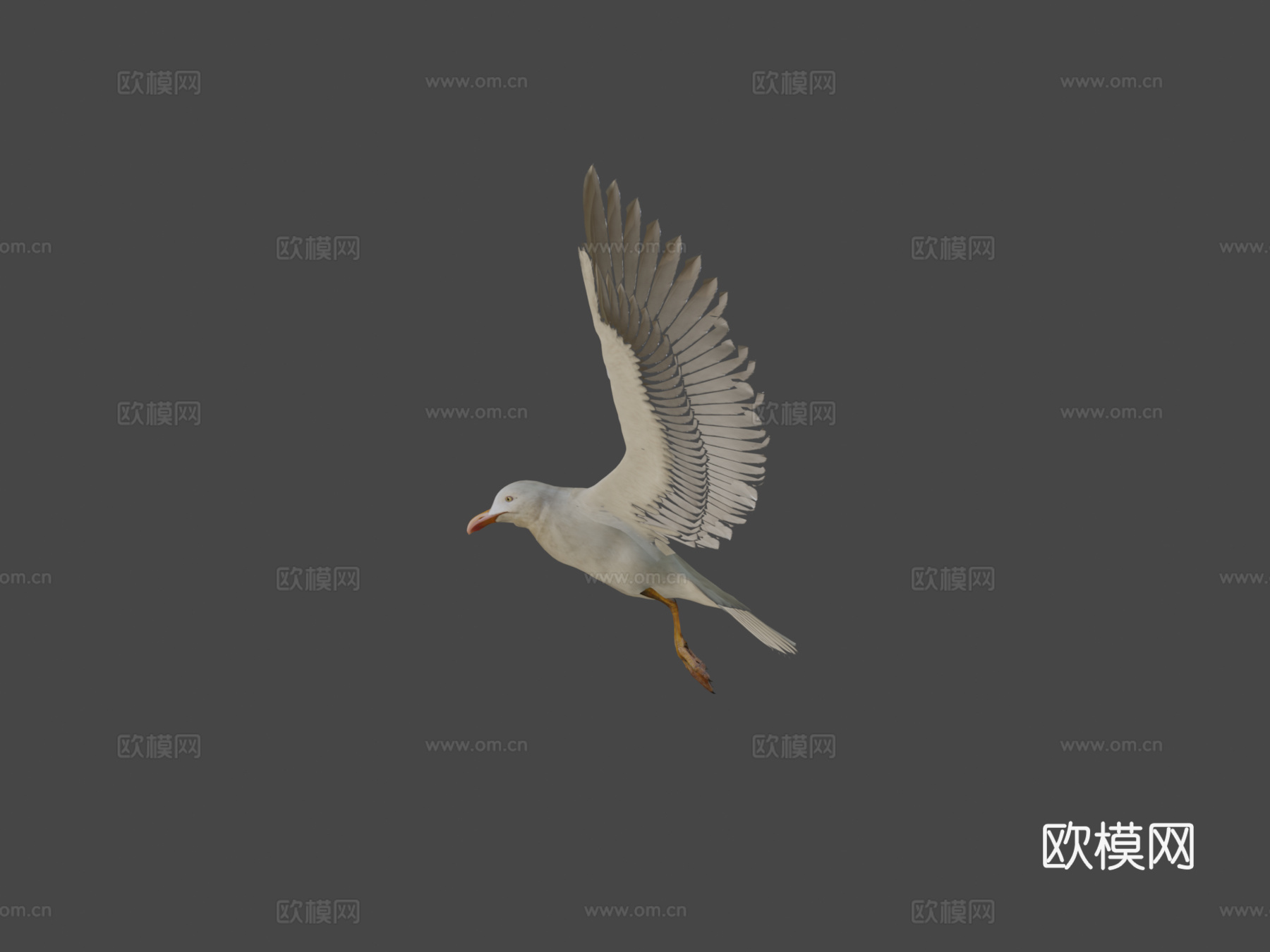海鸥v13d模型