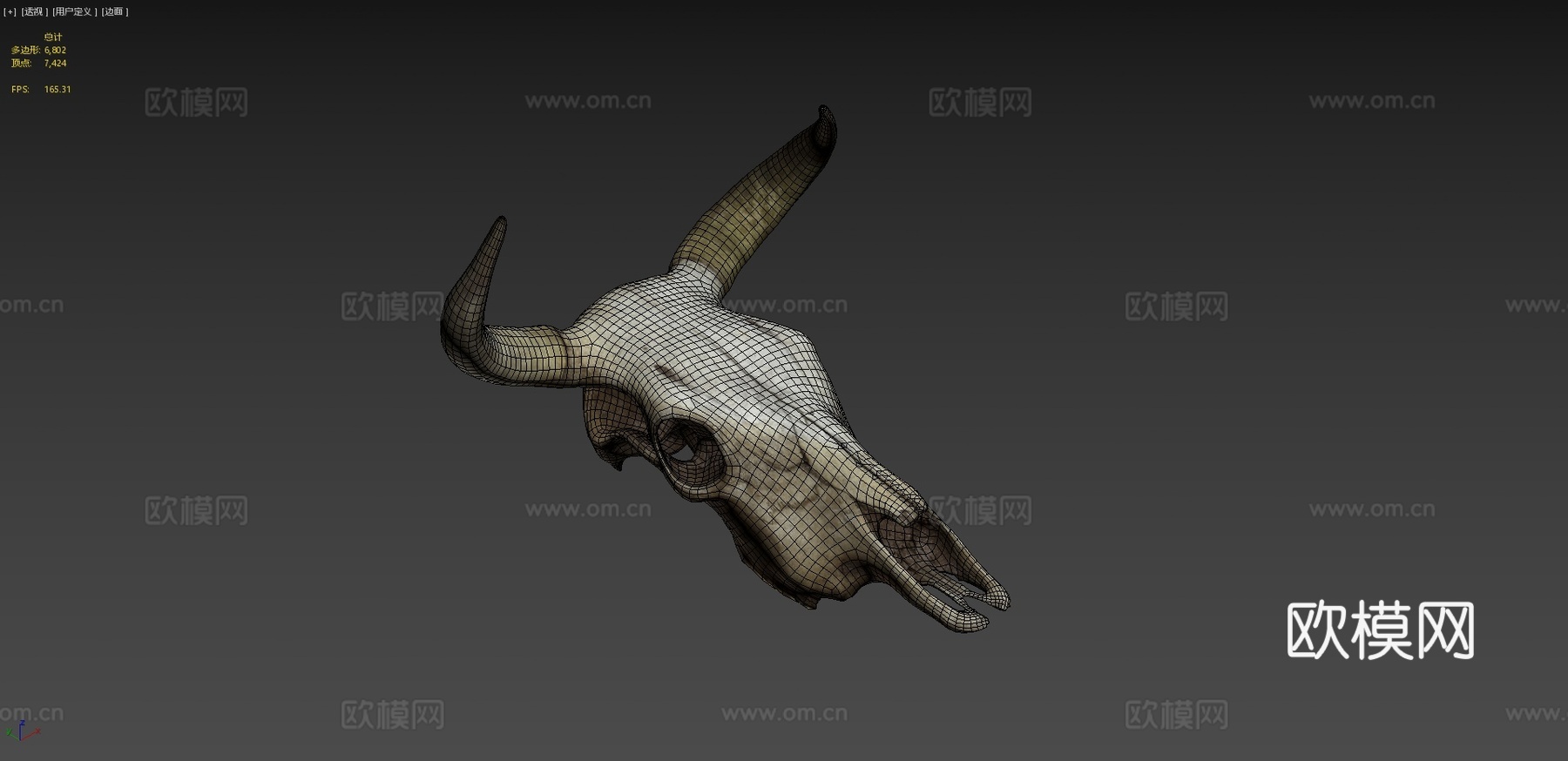 肮脏牛头骨3d模型