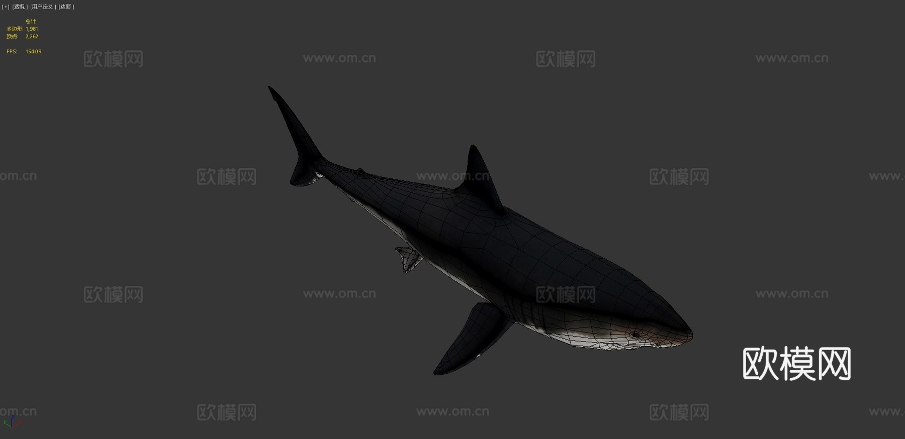 巨齿鲨3d模型