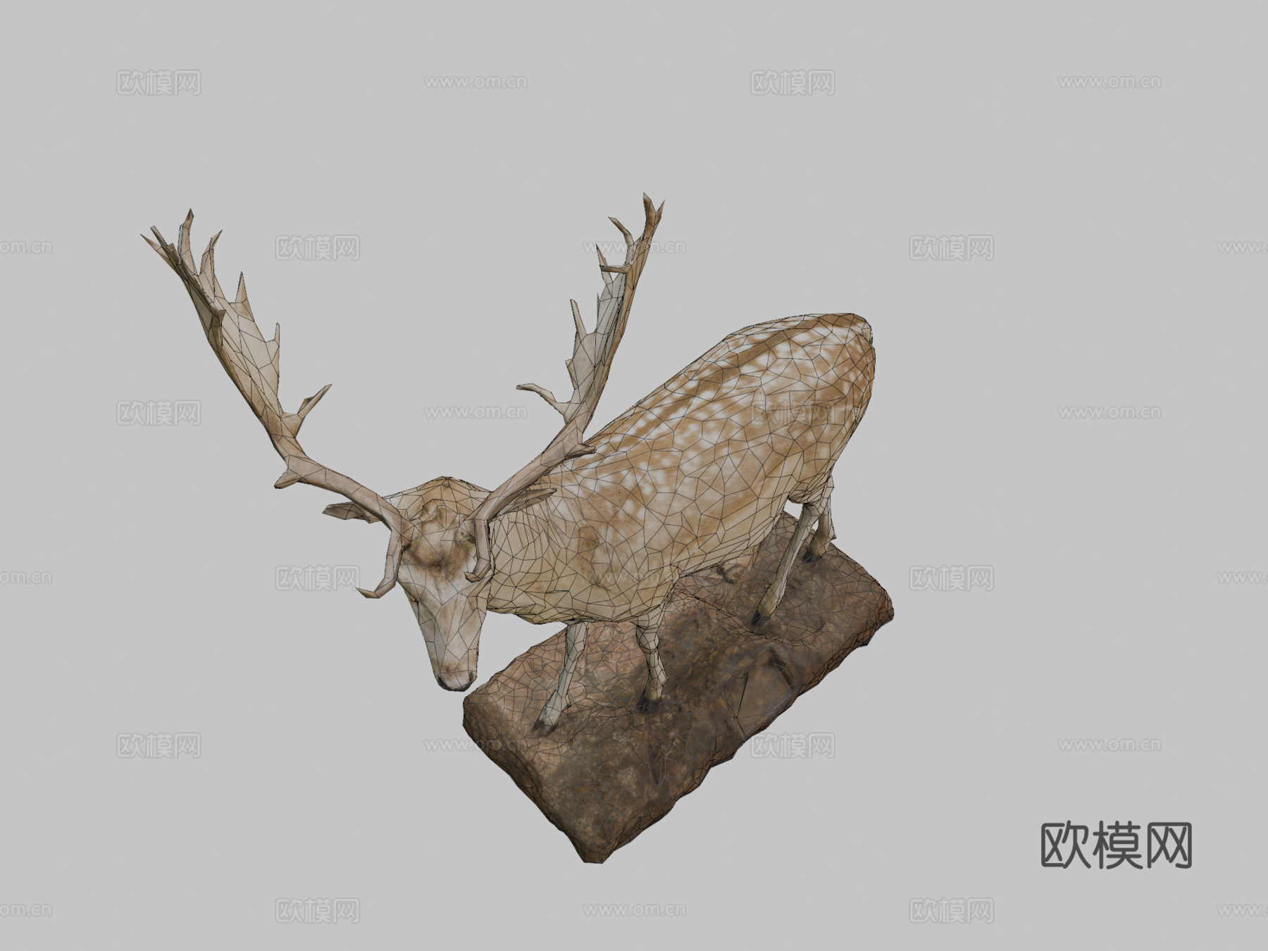 NSMT-M32070黇鹿标本3d模型