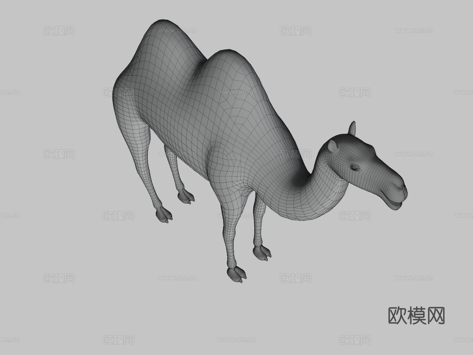 双峰骆驼3d模型