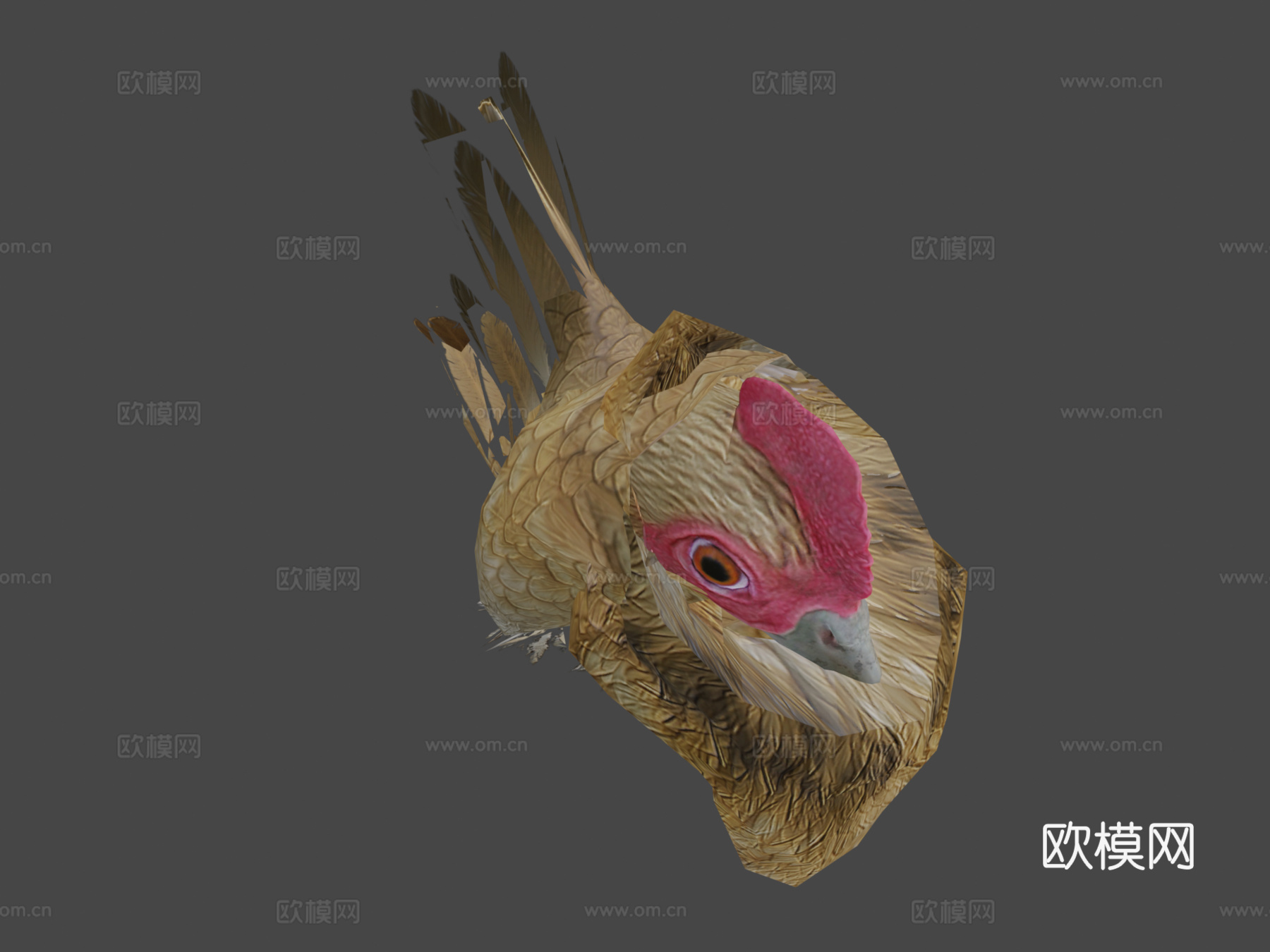 鸡3d模型