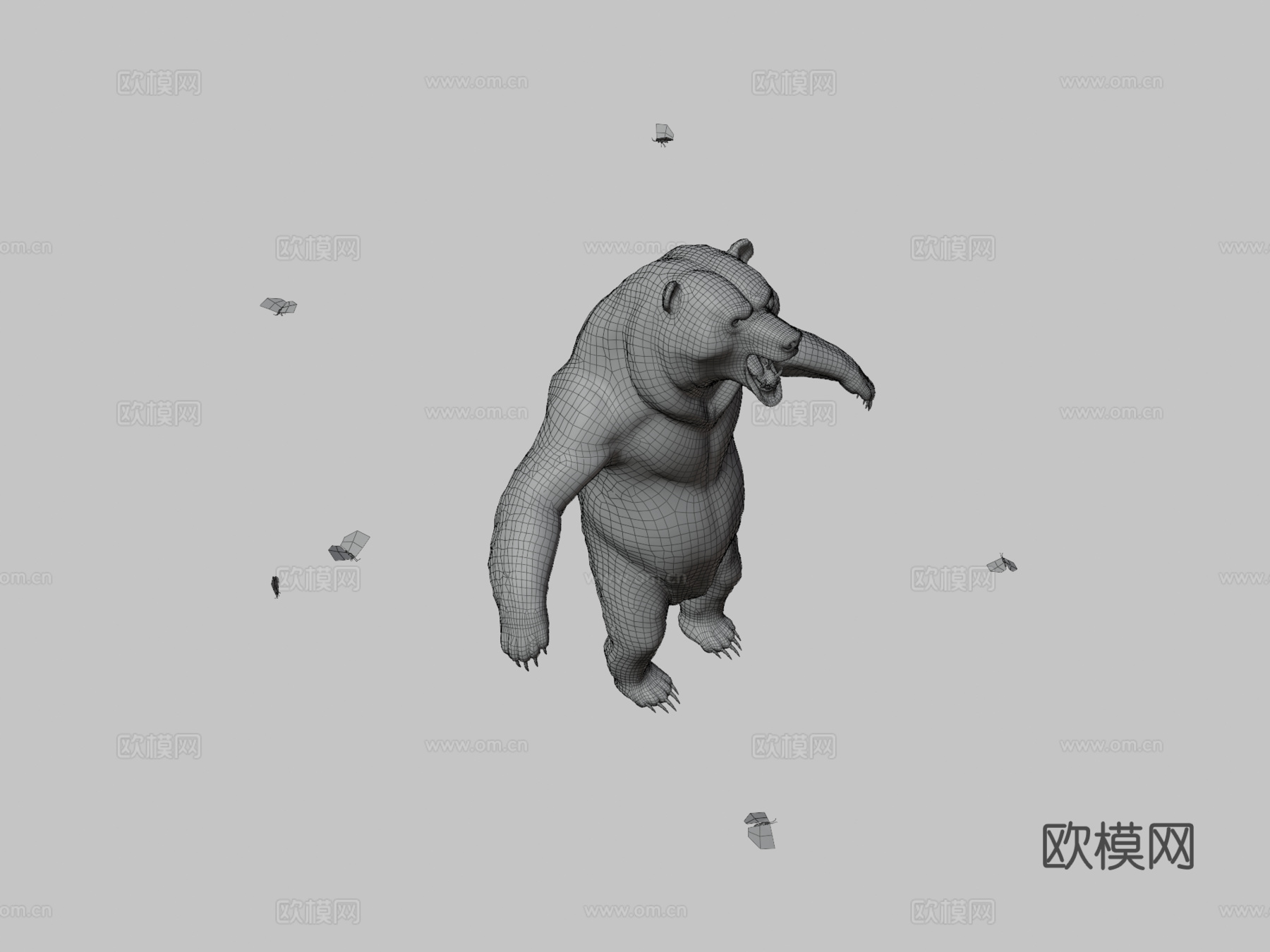 强壮熊3d模型