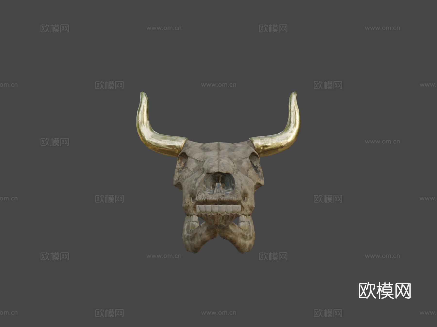 牛头骨3d模型