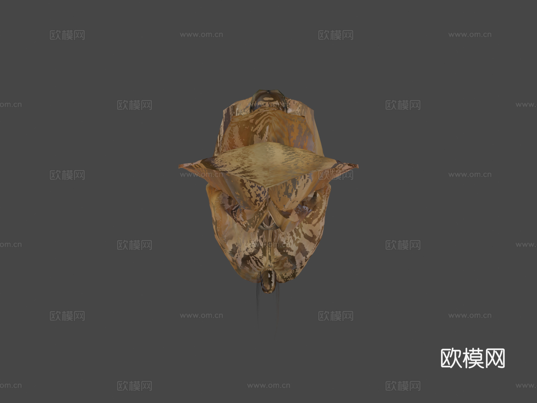 骆驼动画3d模型