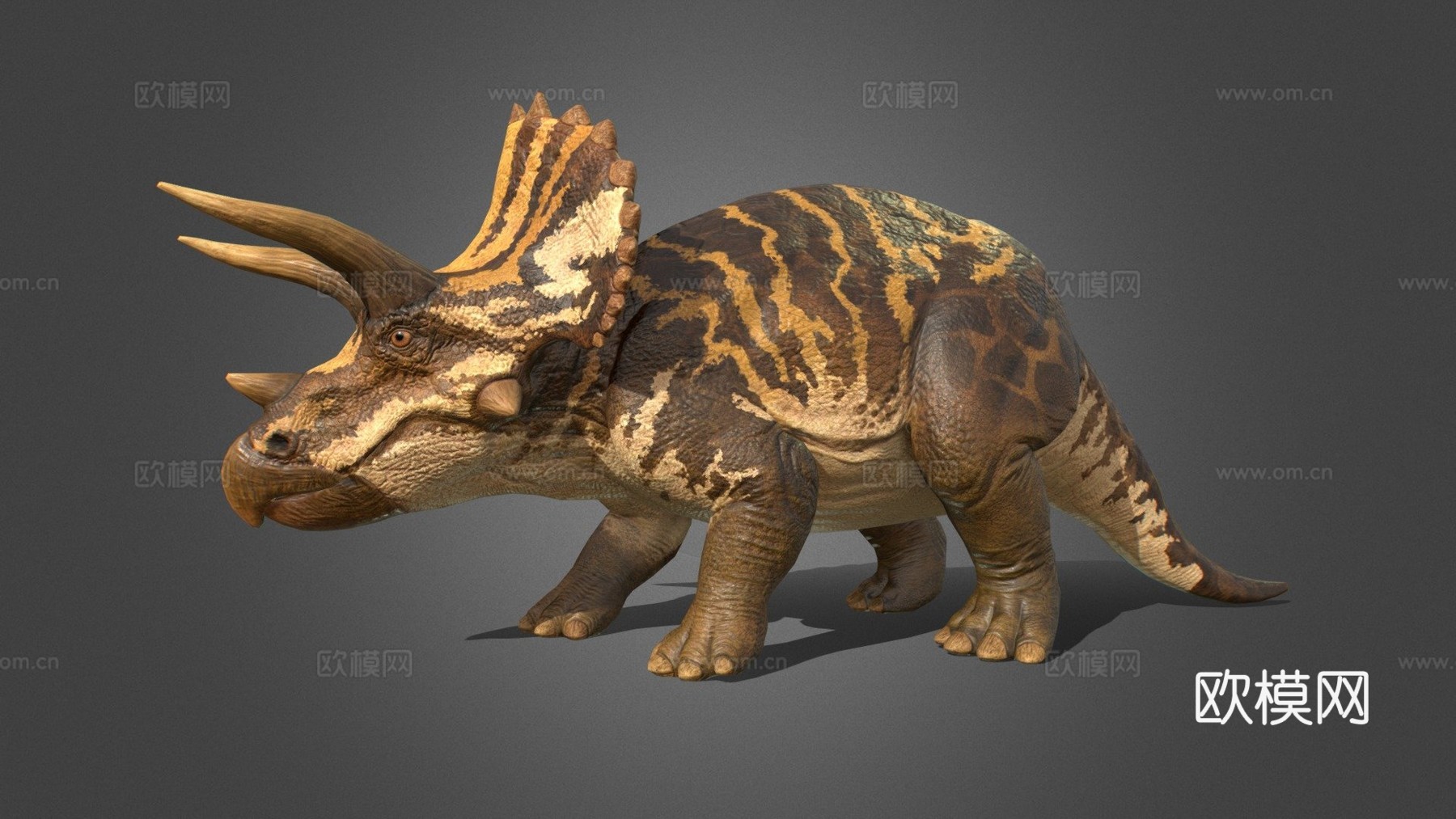 三角龙3d模型
