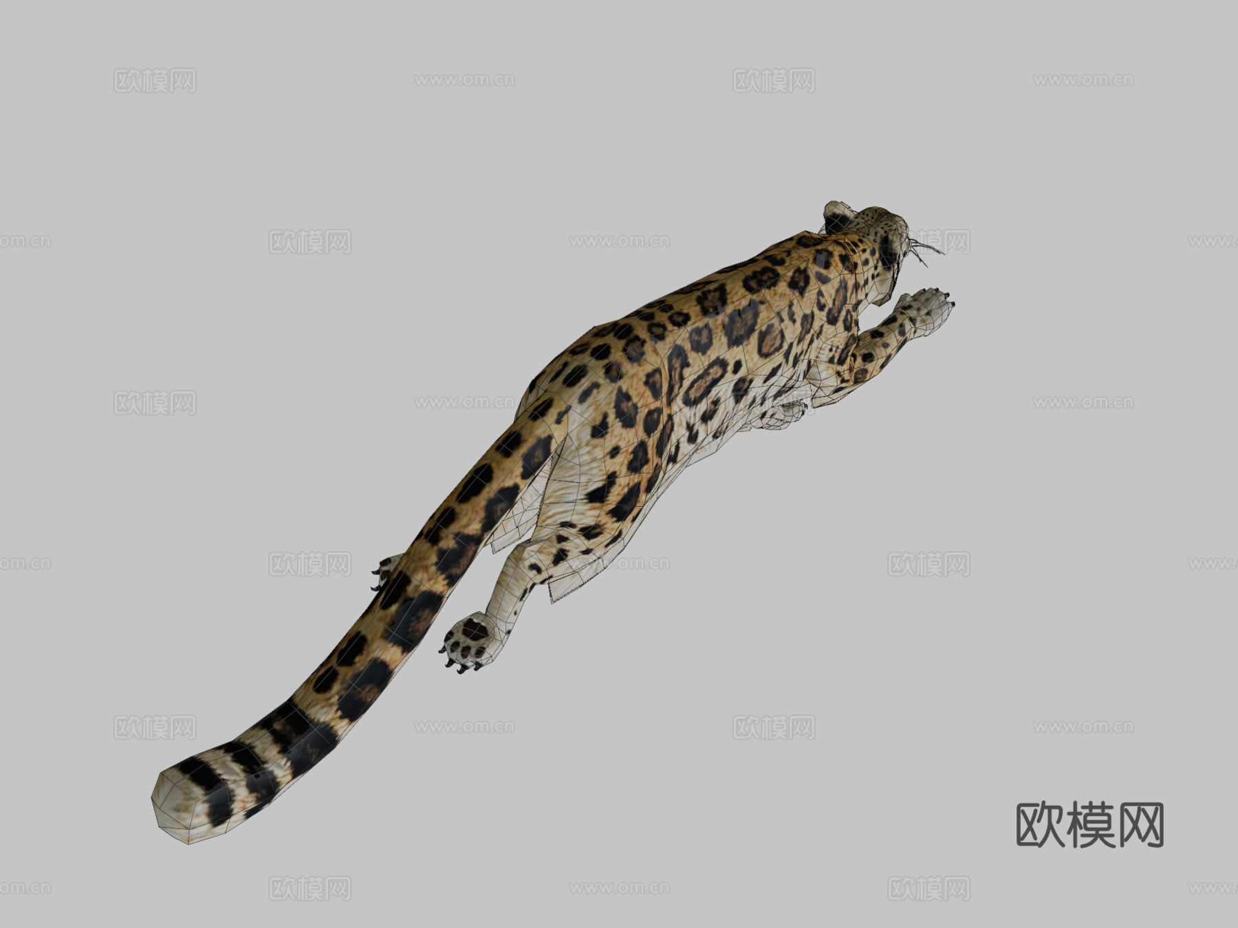 豹子奔跑动画3d模型