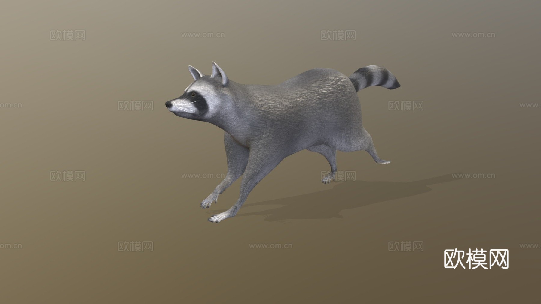 奔跑浣熊动画3d模型