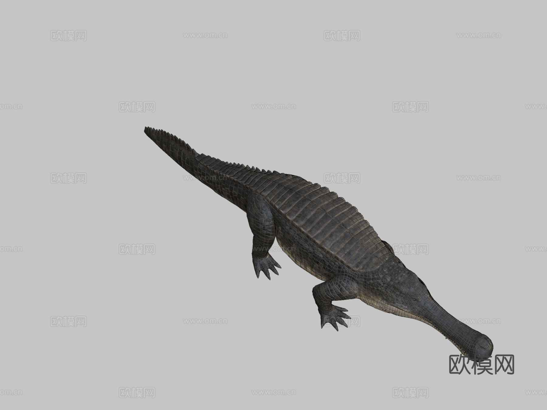 帝鳄3d模型