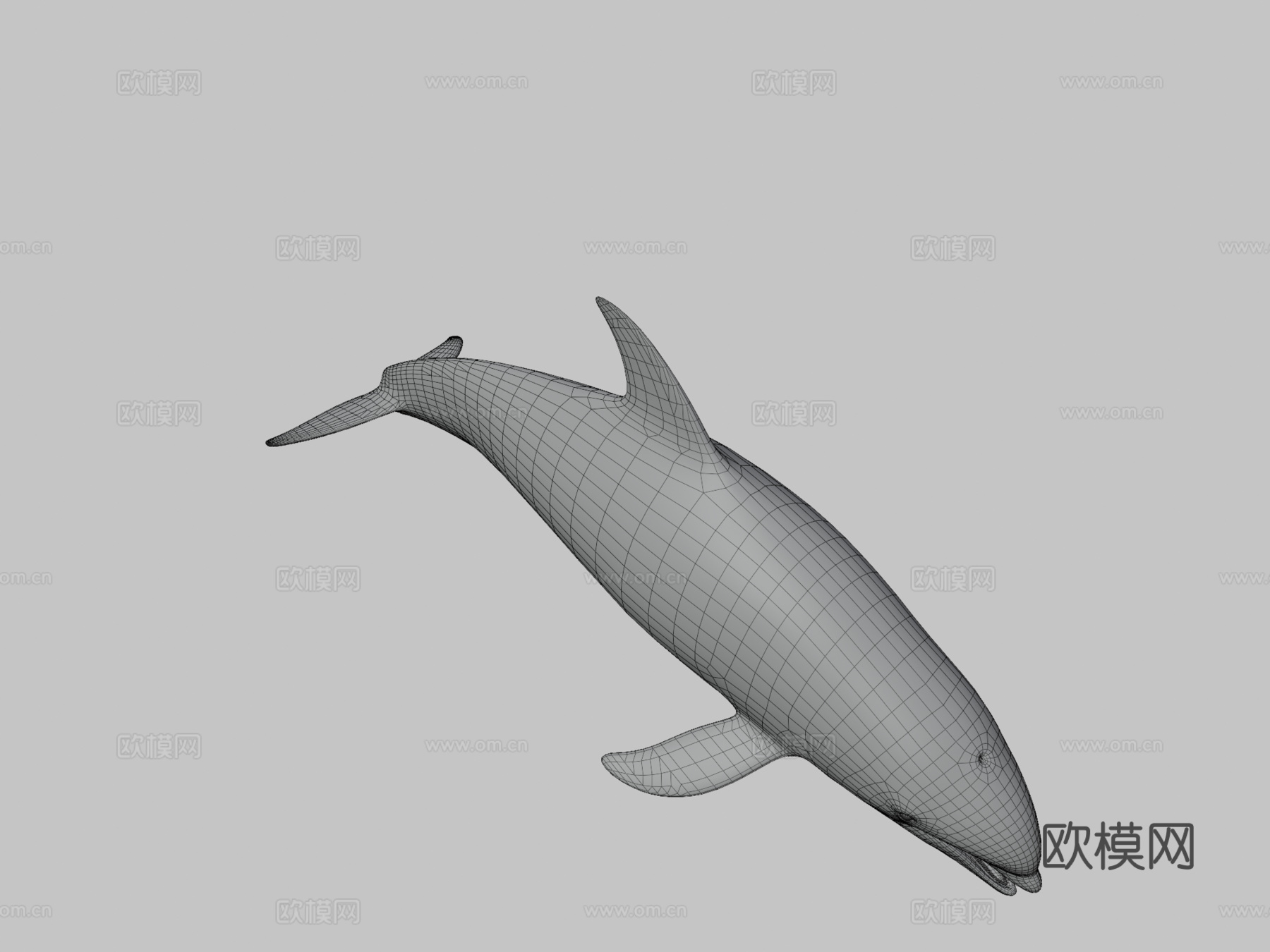 太平洋白侧海豚3d模型